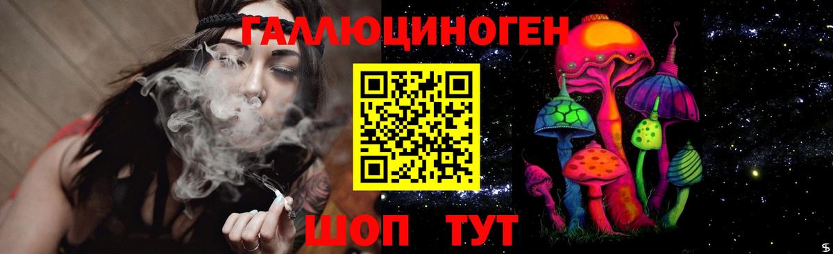 Псилоцибиновые грибы MAGIC MUSHROOMS  Вход с VPN  Киров 